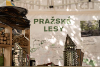 72_science_fest_kristyna.jpg